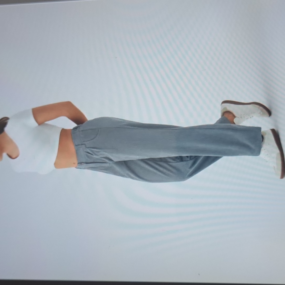 High-Rise Straight Leg Pants in Light Gray